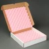 Anti Static Foam Shippers, 14"W x 14"L x 2-3/4"D, White - Pkg Qty 24 2 Anti Static Foam Shippers, 14"W x 14"L x 2-3/4"D, White - Pkg Qty 24 -Protective Packaging Sales Store B664509